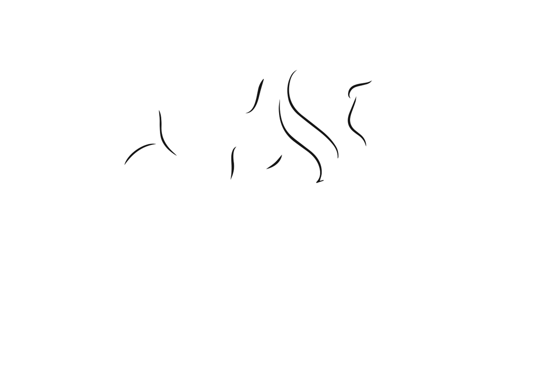 Make in India